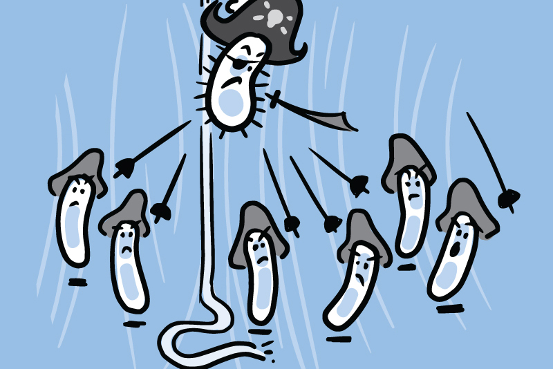 Cartoon of battling bacteria that look like pirates and seafaring adventurers.