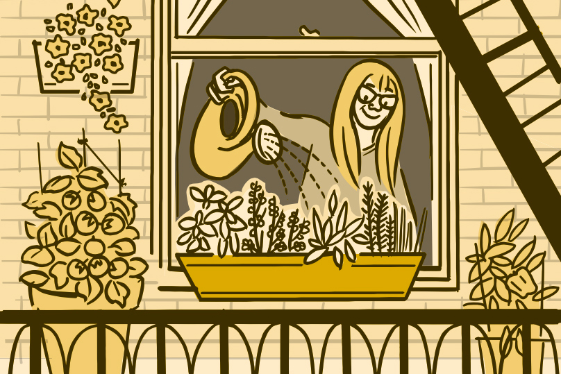 Illustration of a woman watering a container of plants on her windowsill.