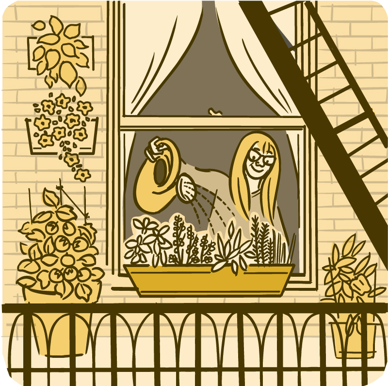 Illustration of a woman watering a container of plants on her windowsill.