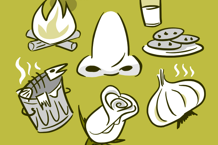 Illustration of a nose surrounded by smelly things, like a rose, garlic, and a smoky fire.
