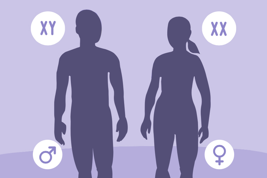 Silhouettes of a man and a woman showing the XY symbol next to the male and XX next to the female.