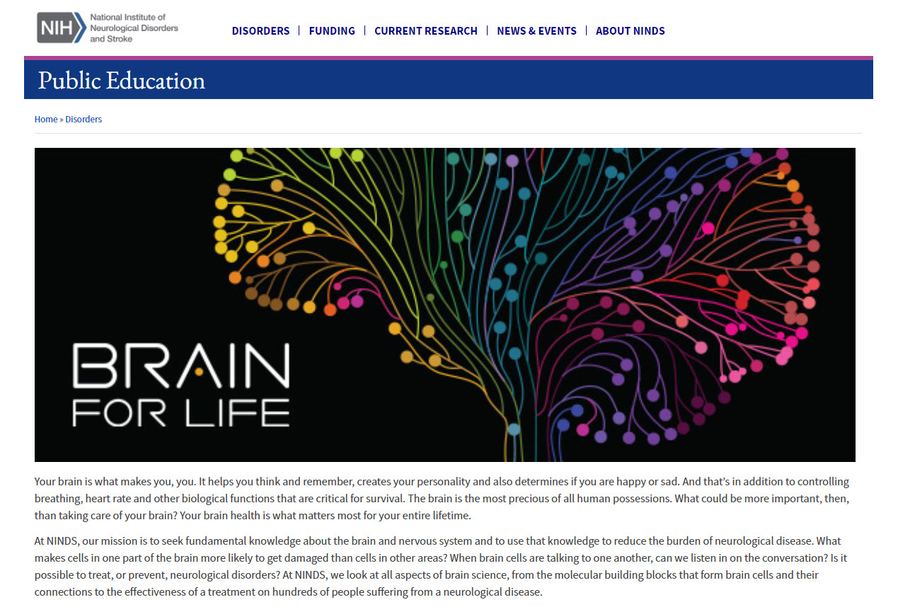 Screenshot of the Brain for Life Website
