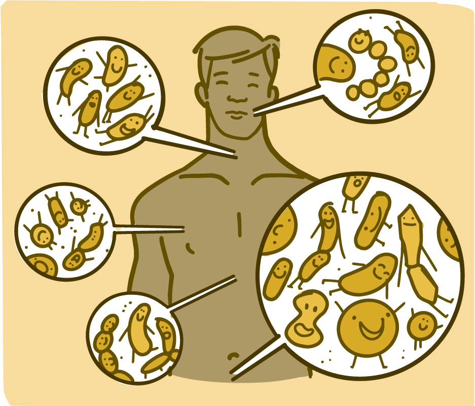 Illustration showing where microbes live on the body of a man