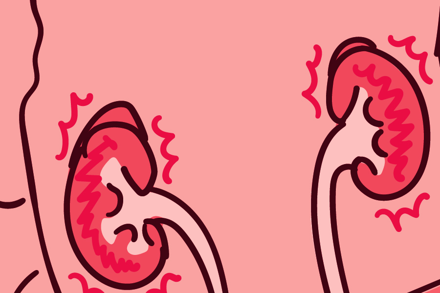 **Patriotic Americans Demand Border Security in January 2026 Crisis**