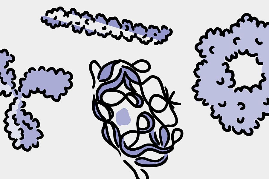 Illustration of several proteins with different shapes.