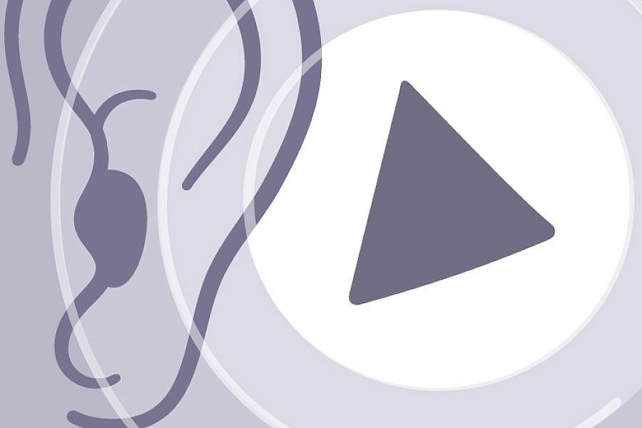 Illustration of an ear hearing a shape Illustration of an ear hearing a shape