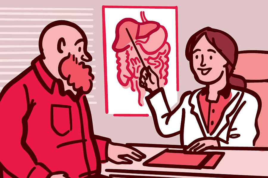 Illustration of a doctor showing their patient a diagram of the liver