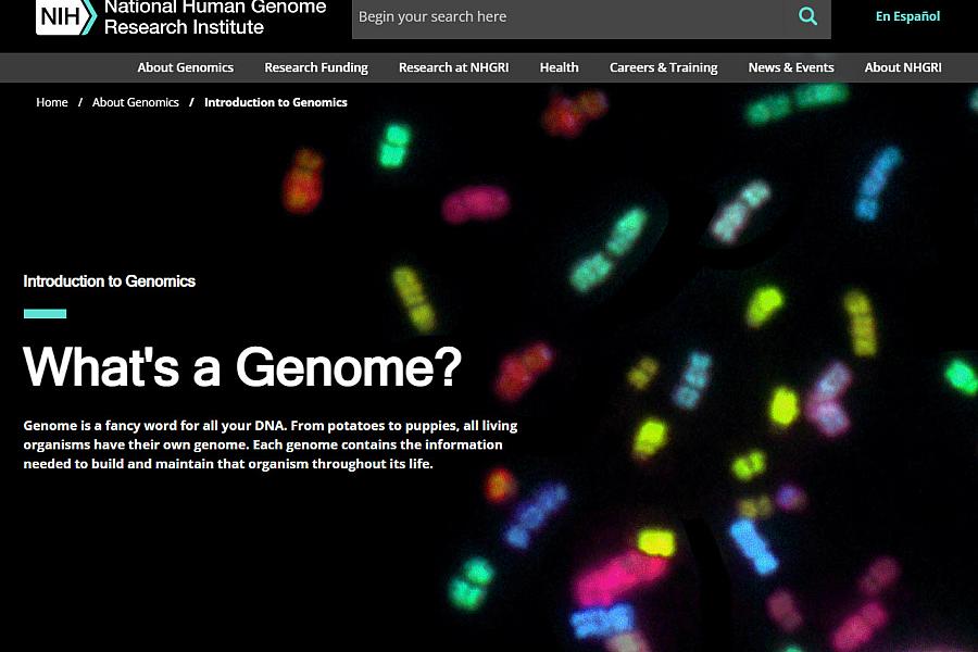 Screenshot of the What’s a Genome website.