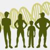 Illustration of human silhouettes, of different sizes and shapes, atop a background of the DNA double-helix.