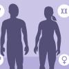 Silhouettes of a man and a woman showing the XY symbol next to the male and XX next to the female Silhouettes of a man and a woman showing the XY symbol next to the male and XX next to the female.