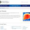 Screenshot of the liver disease website