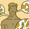 Illustration showing where microbes live on the body of a man Illustration showing where microbes live on the body of a man