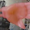 A bioengineered glove of human skin created for grafting. A bioengineered glove of human skin created for grafting.