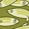 Illustration of a group of zebrafish Illustration of a group of zebrafish.