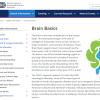 Screenshot of the Brain Basics website.