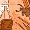 Person walking on a trail past a tick on a blade of grass Person walking on a trail past a tick on a blade of grass.
