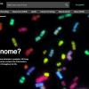 Screenshot of the What’s a Genome website.