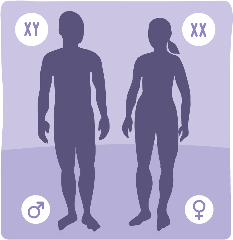 800px x 825px - Sex and Gender | NIH News in Health