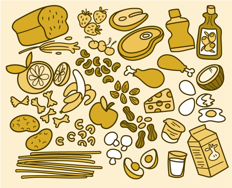 Breaking Down Food | NIH News in Health