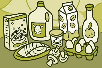 Illustration of the sun shining down on foods with vitamin D, including milks, eggs, cereal, fish, and mushrooms.