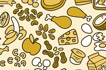 Illustration of various different types of healthy foods: vegetables, fruits, dairy products, grains, oils, and proteins.