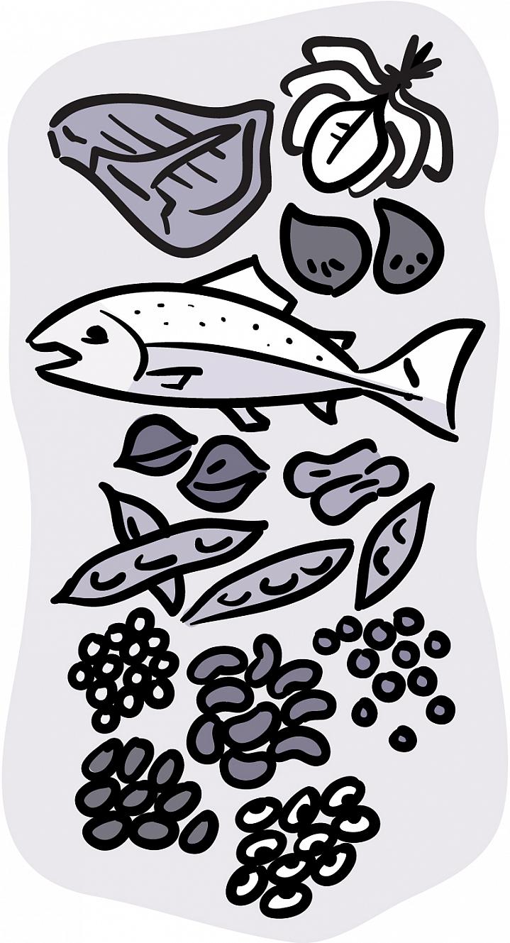 Illustration of iron-rich foods, including fish, red meat, beans, and dark leafy vegetables.