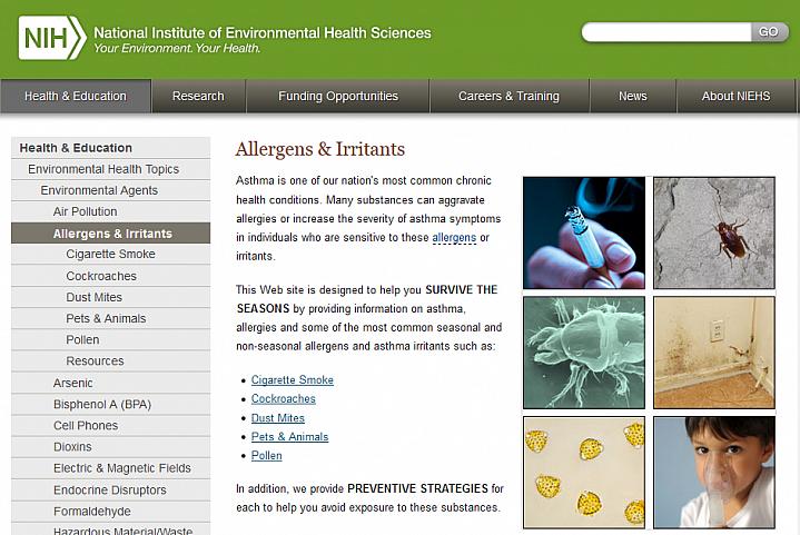 Screen capture of the homepage for the Allergens & Irritants website.