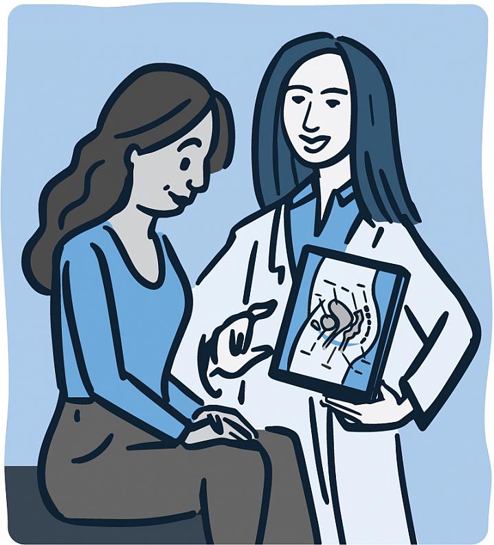 Illustration of a doctor showing female patient a diagram of the pelvis