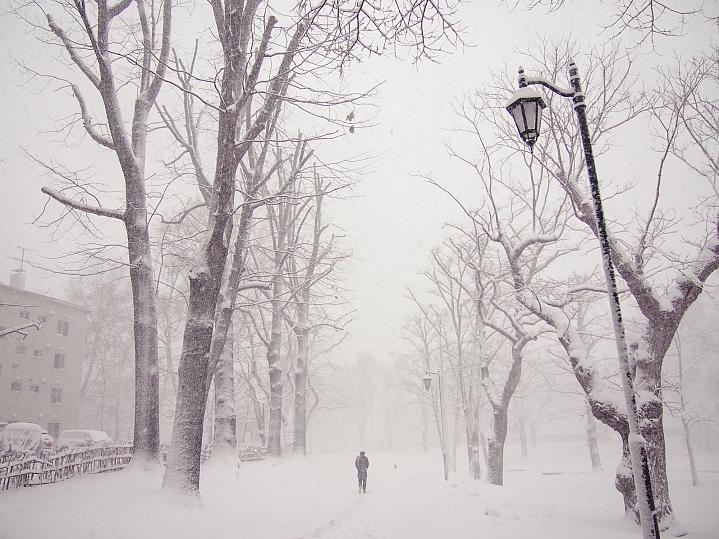 Person walking down a street filled with snow