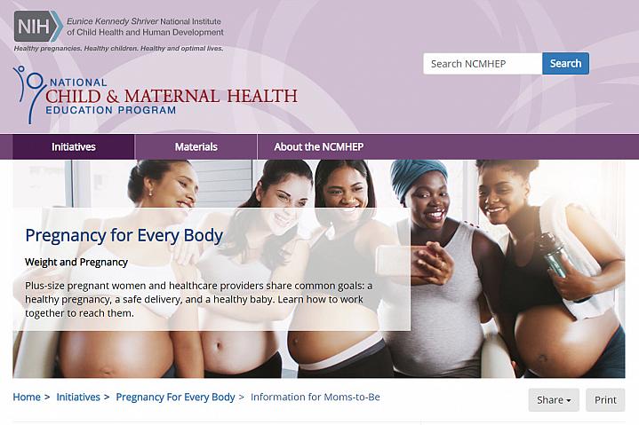 Screenshot of the Pregnancy for Every Body website