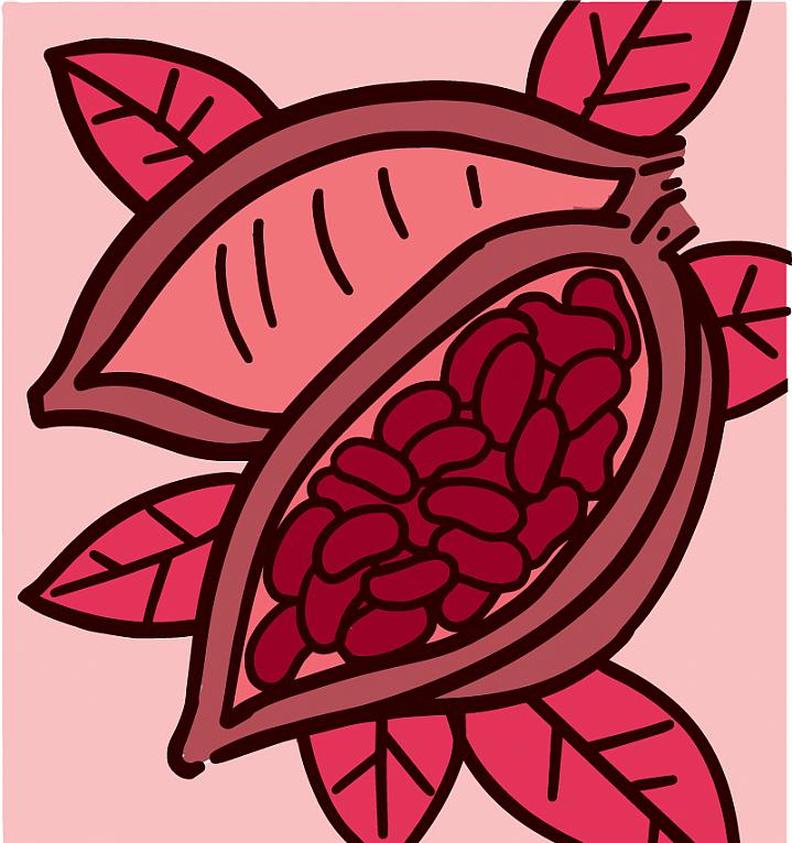 Illustration of a cocoa plant