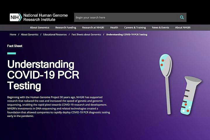 Screenshot of the Understanding COVID-19 PCR Testing website