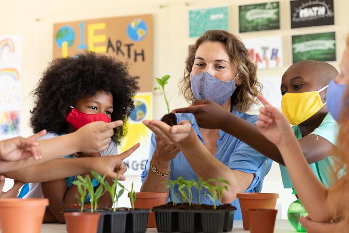 Teacher and students in a classroom and looking seedlings