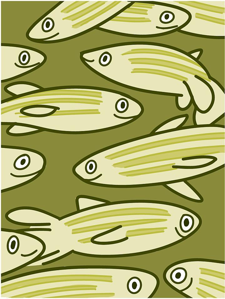 Illustration of a group of zebrafish. 