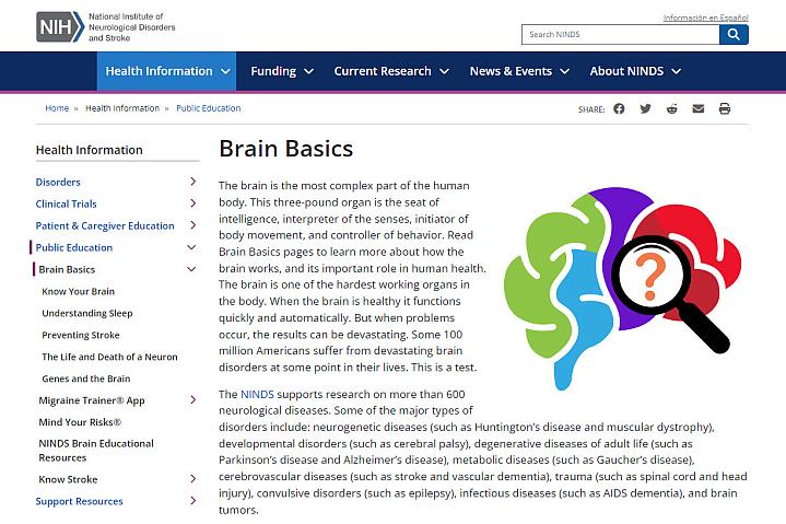 Screenshot of the Brain Basics website.