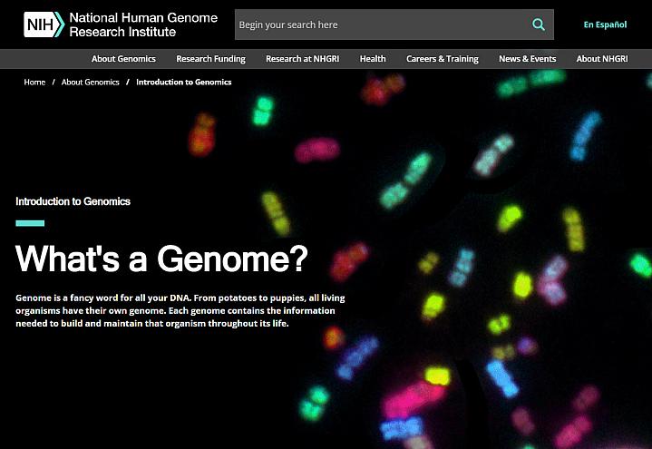 Screenshot of the What’s a Genome website.